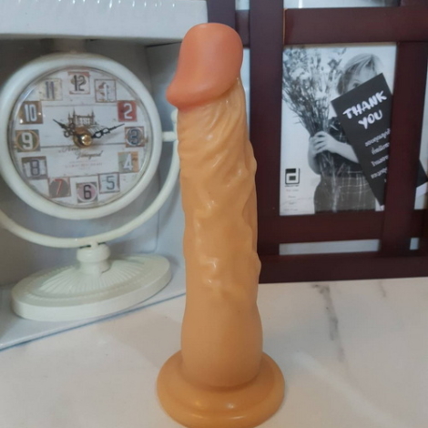 1735005328042